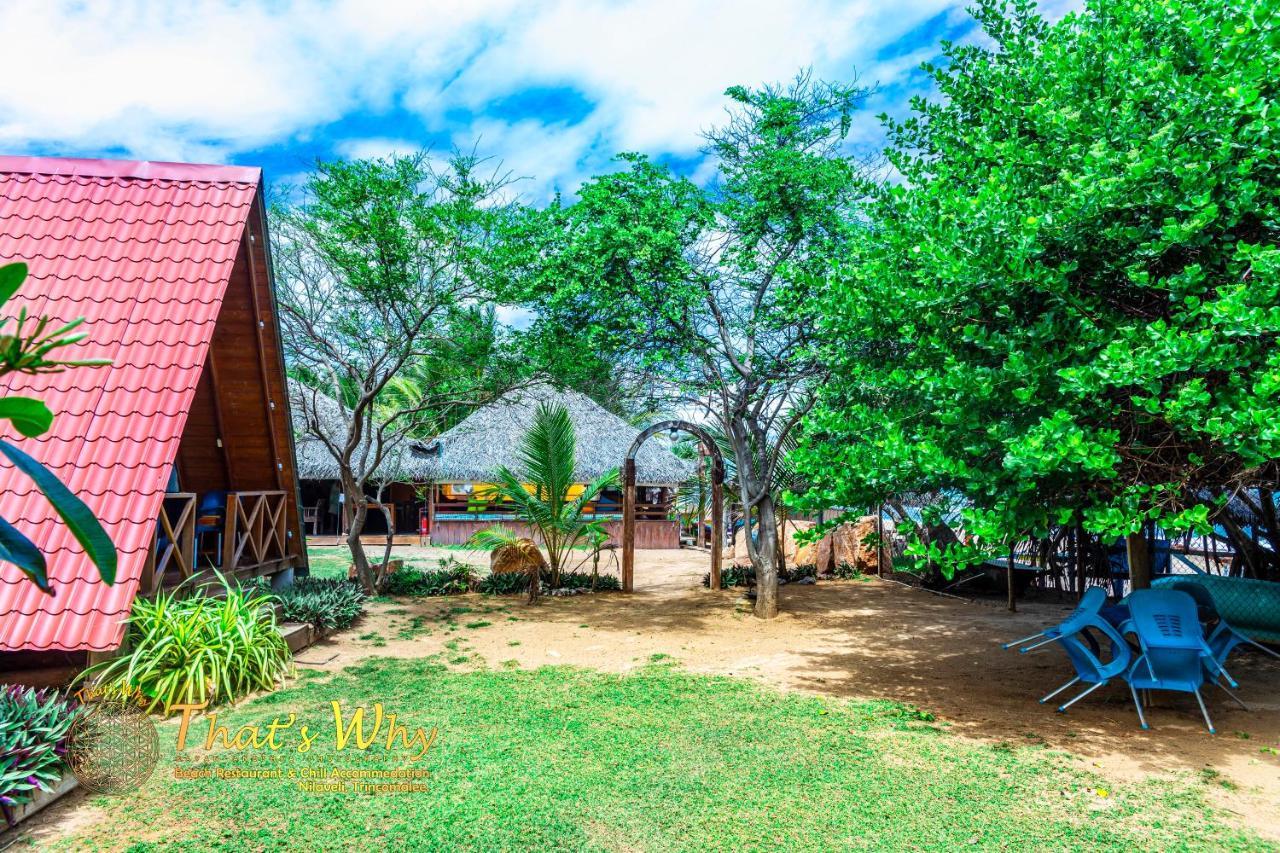 That'S Why Beach Cabanas Nilaveli Exterior foto