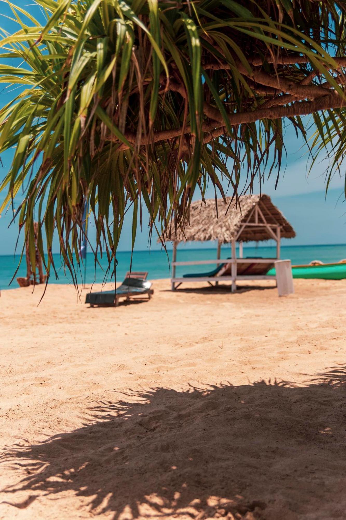 That'S Why Beach Cabanas Nilaveli Exterior foto